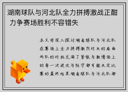 湖南球队与河北队全力拼搏激战正酣 力争赛场胜利不容错失