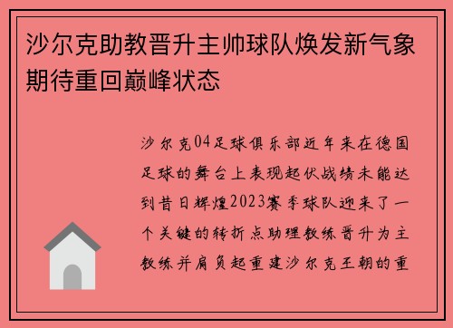 沙尔克助教晋升主帅球队焕发新气象期待重回巅峰状态
