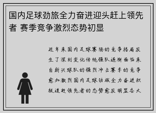 国内足球劲旅全力奋进迎头赶上领先者 赛季竞争激烈态势初显