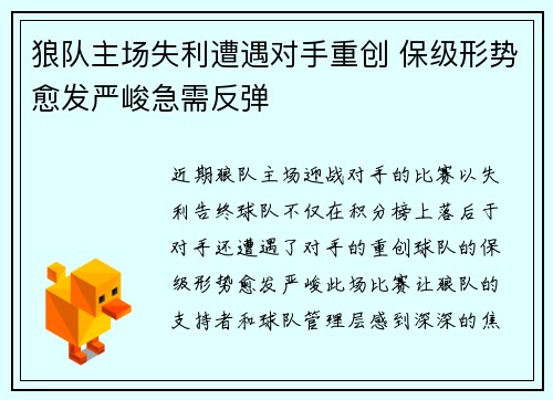 狼队主场失利遭遇对手重创 保级形势愈发严峻急需反弹