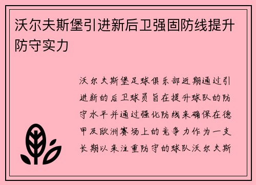 沃尔夫斯堡引进新后卫强固防线提升防守实力