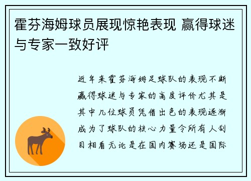 霍芬海姆球员展现惊艳表现 赢得球迷与专家一致好评