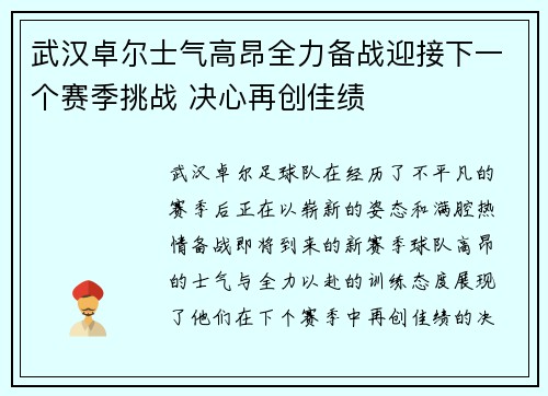 武汉卓尔士气高昂全力备战迎接下一个赛季挑战 决心再创佳绩